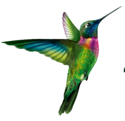 front-datapilot.pages.dev favicon